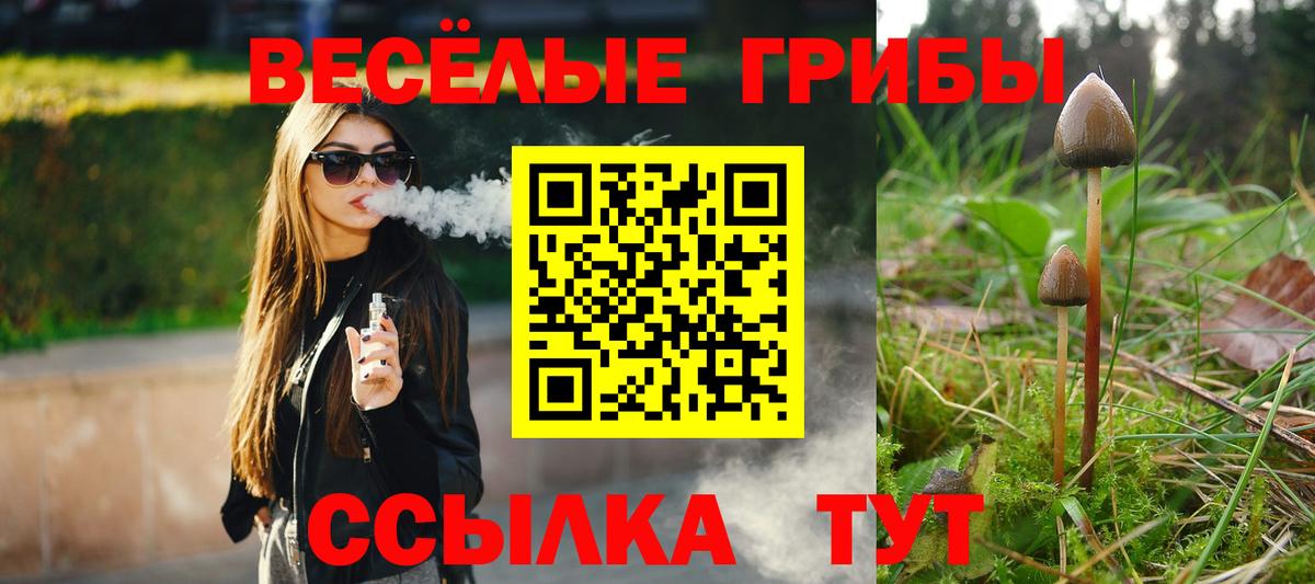 Псилоцибиновые грибы мицелий  Псилоцибиновые грибы Psilocybine cubensis  Каспийск  Вход с VPN 